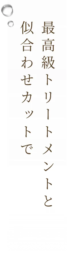 最高級トリートメントと似合わせカットで